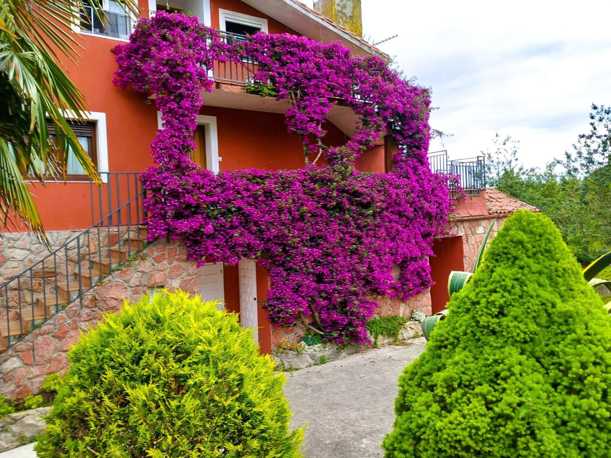 Apartamentos Mariaje Barro  Zewnętrze zdjęcie